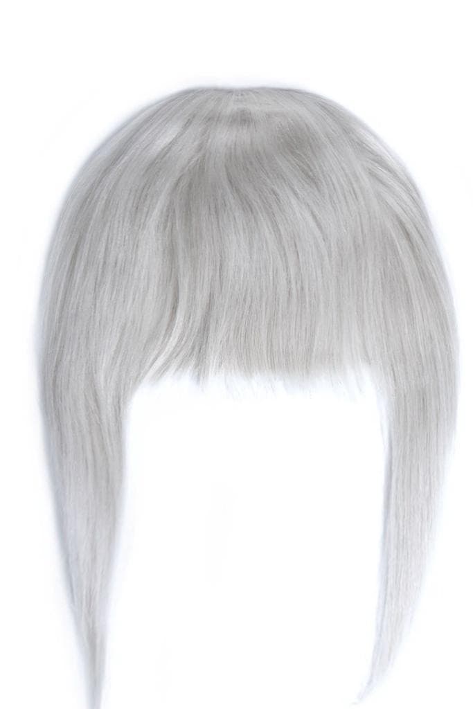 Breton cu Calota Gri Deschis Breton cu Calota Gri Deschis