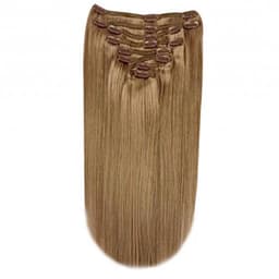 Clip-on Russian Light Brown #8 Clip-on Russian Light Brown #8