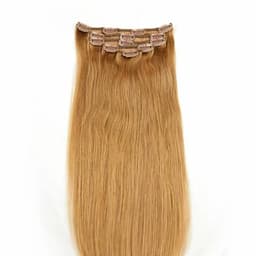 Clip-on Russian Chestnut Brown #8N Clip-on Russian Chestnut Brown #8N