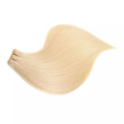 Clip-on Russian Light Blonde # 14 Clip-on Russian Light Blonde # 14